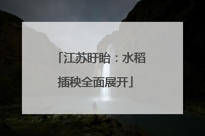 江苏盱眙：水稻插秧全面展开